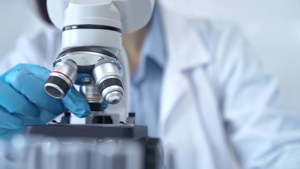 istock Scientist using microscope in laboratory. Close-up of a researcher's hands adjusting a modern microscope in a lab setting. Science concept 2166568818