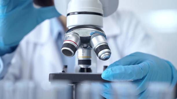istock Scientist using microscope in laboratory. Close-up of a researcher's hands adjusting a modern microscope in a lab setting 2166569690