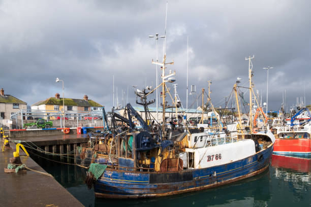 Portavogie, UK - February 22nd, 2022: Blue and white fishing boat at village harbour, dramatic cloudy winter sky.