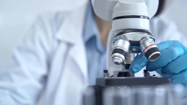 istock Scientist using microscope in laboratory. Close-up of a researcher's hands adjusting a modern microscope in a lab setting. Science concept 2166578542