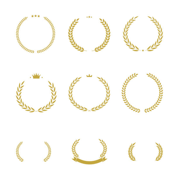 istock Vector illustration set of laurel wreath icons. Includes various laurel leaves and branches emblems. 2166580816