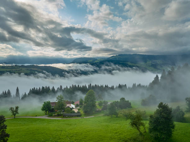 istock aerial view on Bregenzwald with low flying clouds, Austria 2166582808