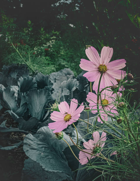 A vibrant display of blooming flowers in a public garden. The image captures the beauty and diversity of flowers flourishing in a well-maintained urban garden space