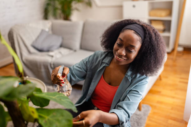 istock Person misting a green plant while sitting at home. 2166595425