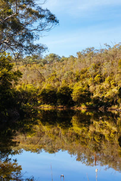istock Blue Tongue Bend Walk in Warrandyte Melbourne Australia 2166596318