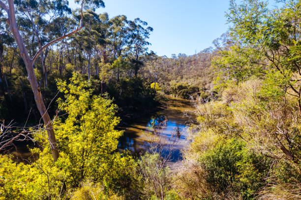 istock Blue Tongue Bend Walk in Warrandyte Melbourne Australia 2166596330