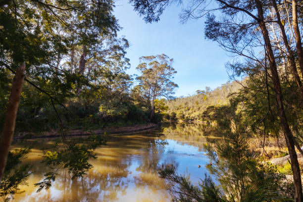 istock Blue Tongue Bend Walk in Warrandyte Melbourne Australia 2166596331