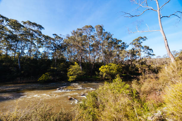 Rainforest stream in the hills near Byron Bay and Lismore, NSW, Australia