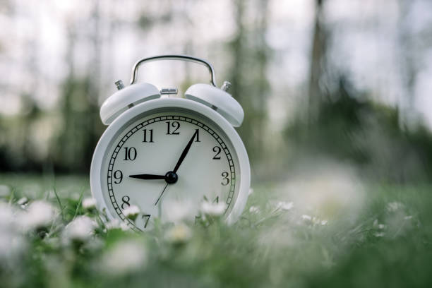 istock White alarm clock in grass with daisy flowers 2166597882