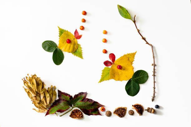 istock colorful autumnal leaves, creative ideas for children, composition, isolated creative fish swimming 2166599568
