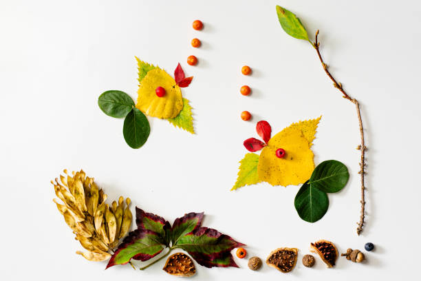 istock colorful autumnal leaves, creative ideas for children, composition, isolated creative fish swimming 2166599573