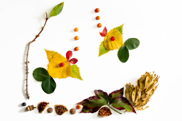istock colorful autumnal leaves, creative ideas for children, composition, isolated creative fish swimming 2166599594