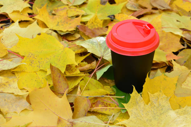 istock a red cup with a red lid sits on a fallen leaves 2166600916