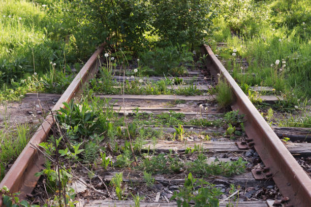 istock Railway lines is overgrown with grass 2166601094