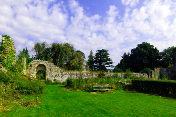 Capturing an ambient early morning sunglow on Jervaulx Abbey, in July, 2024.