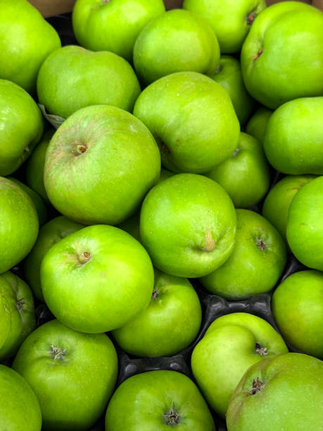 Stock photo showing close-up, elevated view of a heap of fresh, ripe, polished, green Bramley apples (Malus domestica 'Bramley's Seedling' ) on shelf in fruit and vegetable green grocer's section of supermarket.
* Not AI modified * imagen de fotograma completo de una pila de fruta en el estante del supermercado, caja de plástico con manzanas de cocción bramley verdes pulidas (malus domestica 'bramley's seedling') que se venden en el pasillo de productos frescos locales del supermer