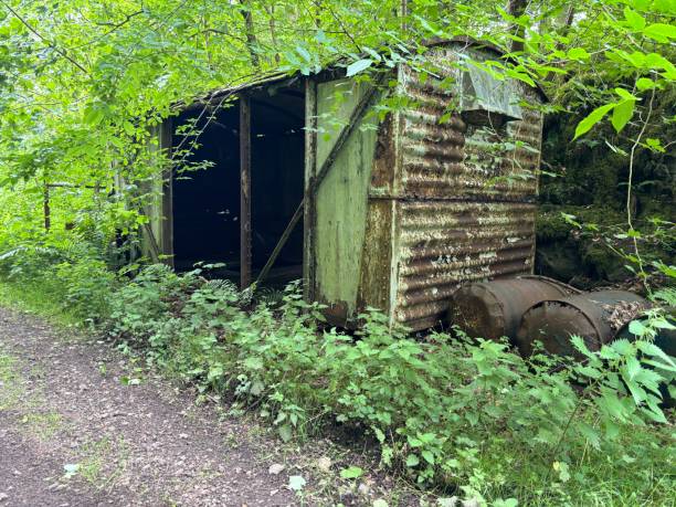 istock Abandoned Railway Wagon in the woods 2166606795