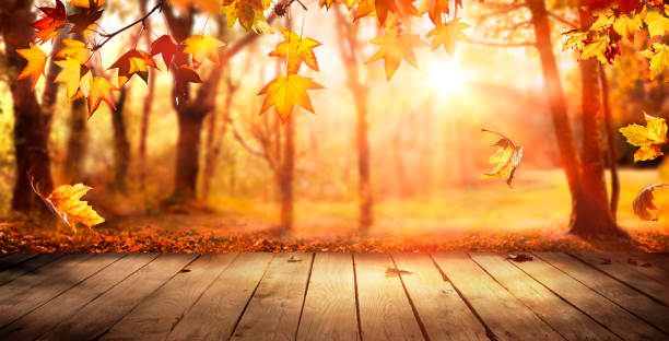 istock Fall Wooden Table - Autumn Season In Orange Forest 2166607937