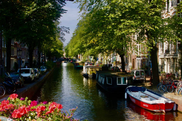 View of the canals in Amsterdam with boats and flowers
