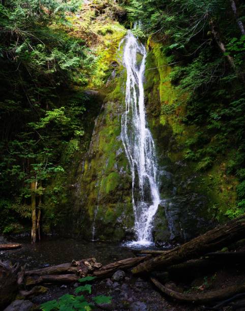 istock Olympic National Park Waterfall 2166612037