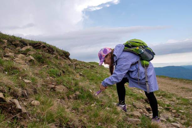 istock Hiker examining flowers on mountain trail. 2166612984