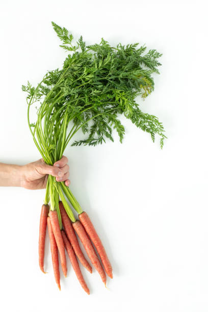 istock Hand with a bunch of carrots with greens 2166613165