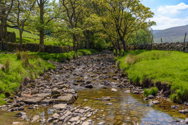 istock Gayle Beck, Hawes, North Yorkshire 2166613256