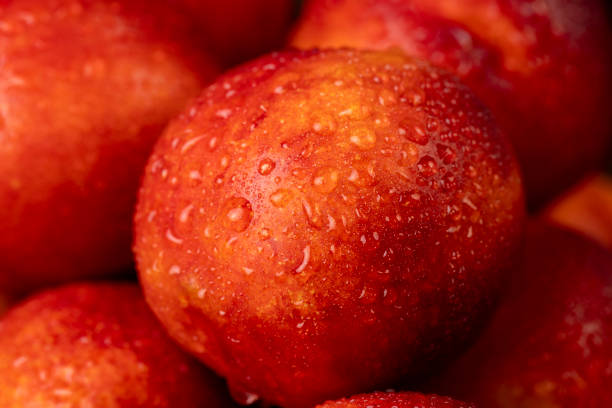 a small harvest of ripe washed nectarines in drops