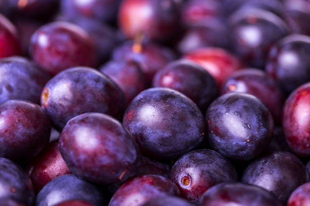 Big ripe organic purple plum with cut out segment on ultra violet background. Yellow flesh pit close up. Creative trendy minimalist style. High resolution poster banner