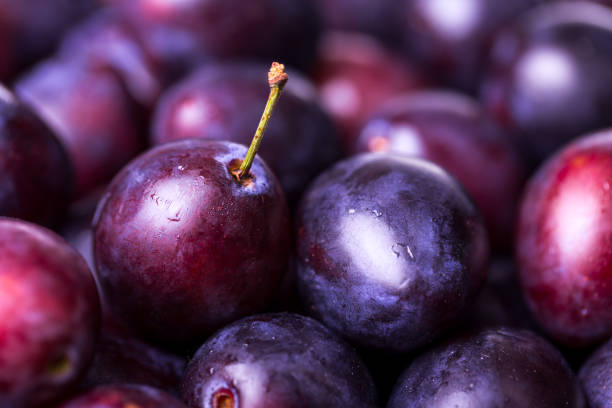 fresh plums one with stem close up