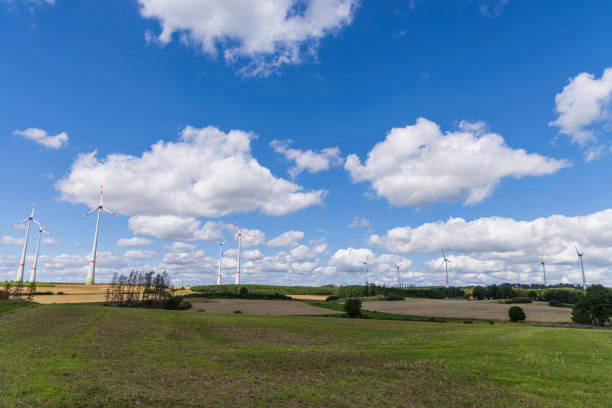 renewable energy: wind turbines