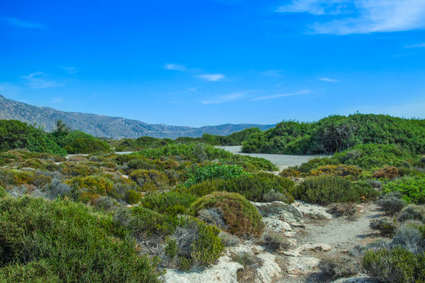Wild rock Beach with marram grass and horizon over turquoise sea water. View from a cliff sand dune