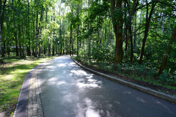 istock an asphalt road with some green trees in the park 2166627363