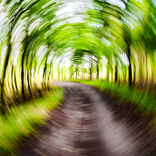 A peaceful, serene winding path, beautifully surrounded by vibrant green trees, inviting both exploration and adventure