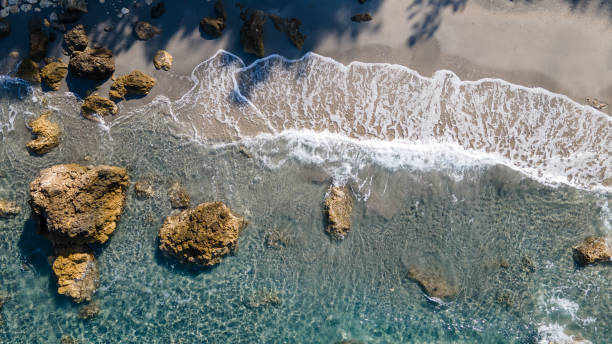 istock Tropical island palm tree beach from above 2166633416