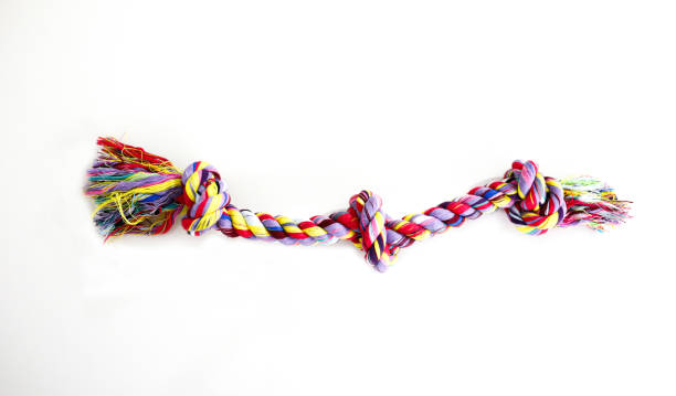 istock Joyful Play: Bright and Cheery Dog Toy for Endless Fun 2166634648