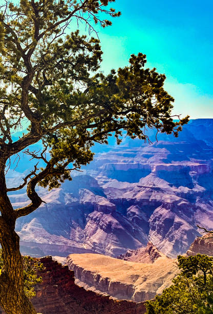 South Rim