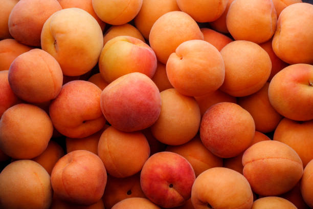 istock Ripe apricots top view market 2166635659