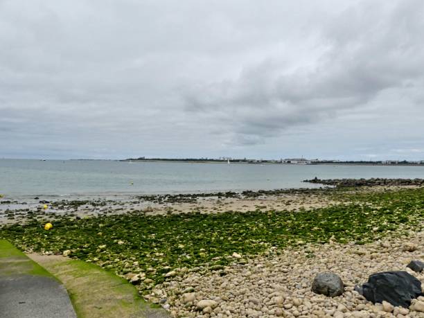 istock View of the beach 2166637757