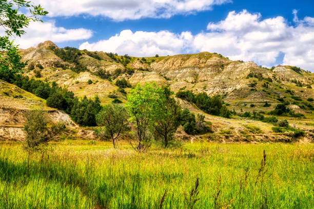 istock Theodore Roosevelt National Park - Badlands 2166637830