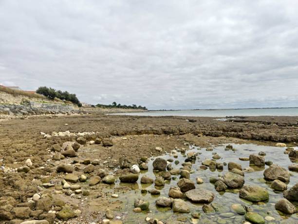 istock View of the beach 2166638473