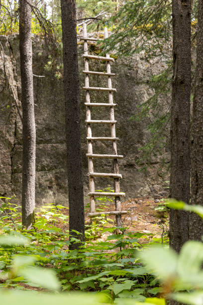 istock Scenic view of ladder on boulder in forest 2166638606
