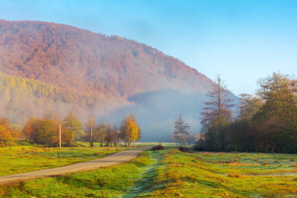 old asphalt road through the misty valley. forest with colorful foliage in morning light. beautiful countryside landscape