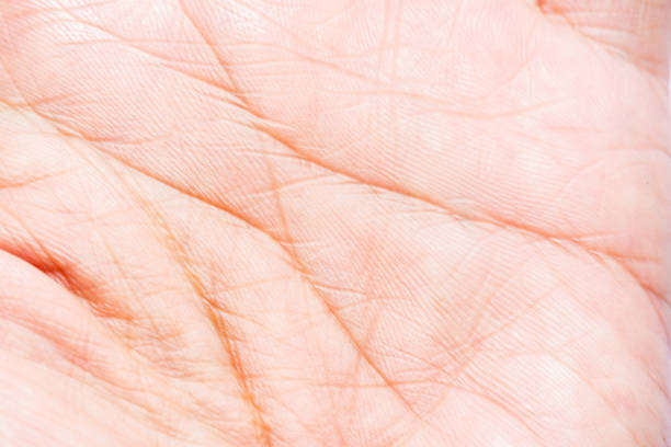 A closeup view of a persons hand forming a clear stop sign gesture, showcasing the distinct fingers, skin texture, and nail details