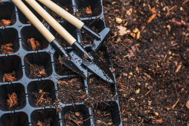 istock Seedling preparation equipment,Close up hand holding a shovel is adding fertilized soil or peat moss to a planting tray or planting pot in preparation for planting. Agricultural equipment for 2166640410