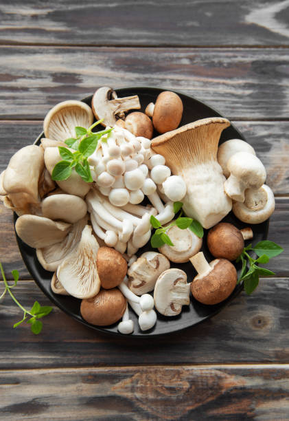 istock Assortment of various mushrooms 2166643545