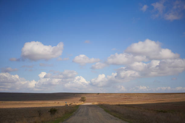 African savannah, Game reserve like Kruger Park and the Serengeti, African bushveld and wilderness in South Africa, Kenya or Tanzania.