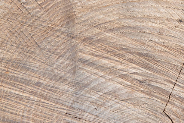 Rustic, grunge, dirty and old  wood texture backgrounds
