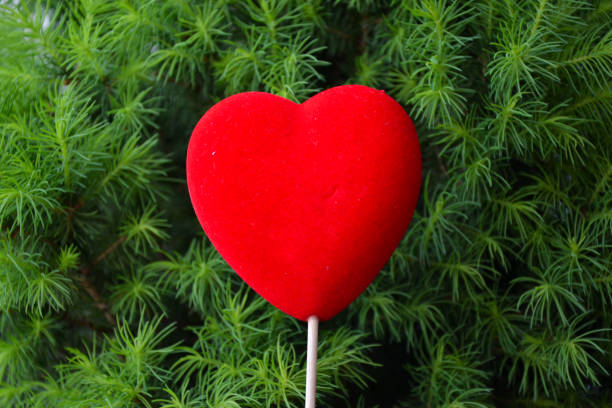 heart on the background of a Christmas tree