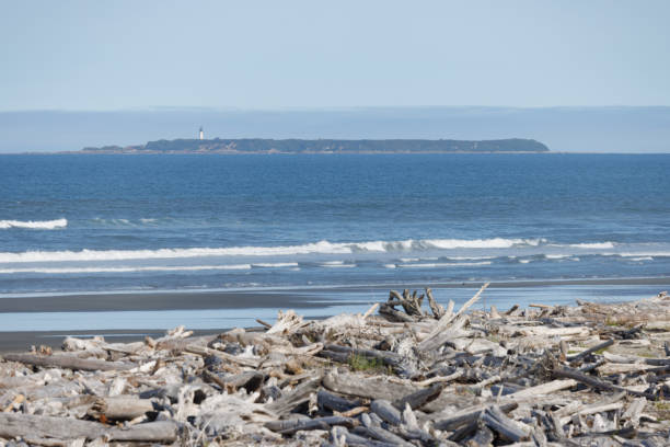 View from a driftwood-strewn beach toward an island with a lighthouse